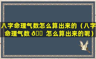 八字命理气数怎么算出来的（八字命理气数 🐠 怎么算出来的呢）